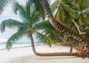 Sail United - Vacanta pe yacht